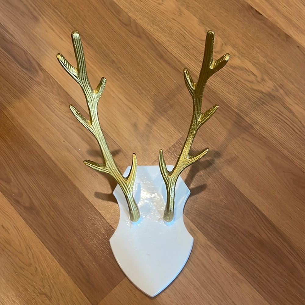 Trendy antler hooks